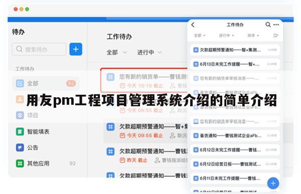 用友pm工程项目管理系统介绍的简单介绍