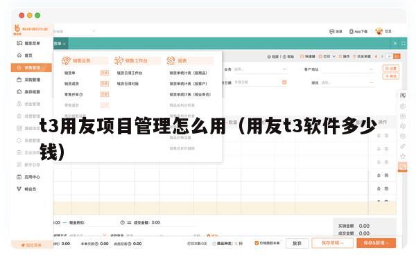t3用友项目管理怎么用（用友t3软件多少钱）