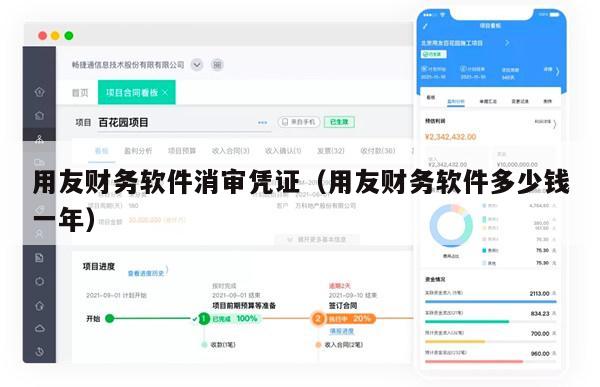 用友财务软件消审凭证（用友财务软件多少钱一年）