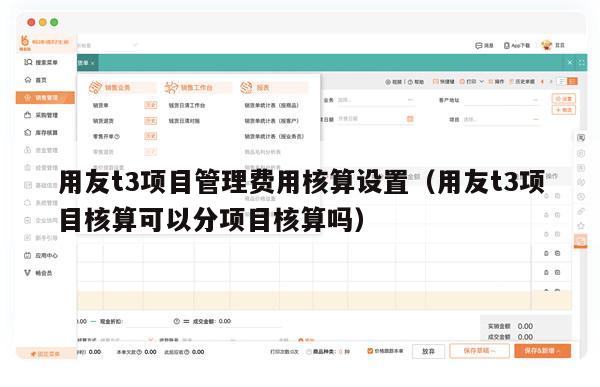 用友t3项目管理费用核算设置（用友t3项目核算可以分项目核算吗）