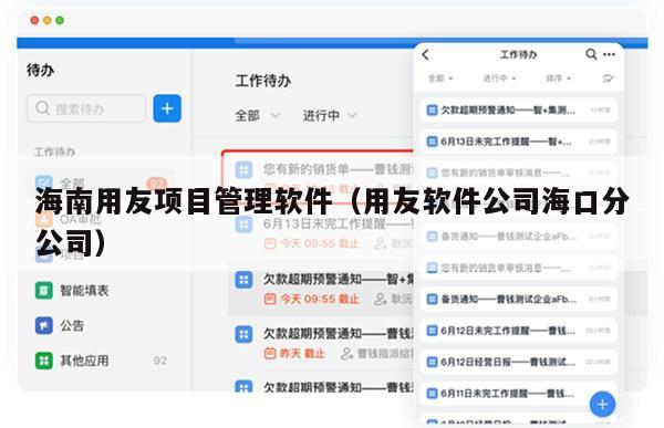 海南用友项目管理软件（用友软件公司海口分公司）