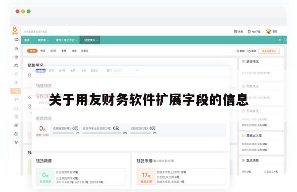 关于用友财务软件扩展字段的信息