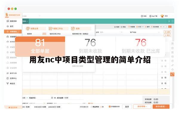 用友nc中项目类型管理的简单介绍