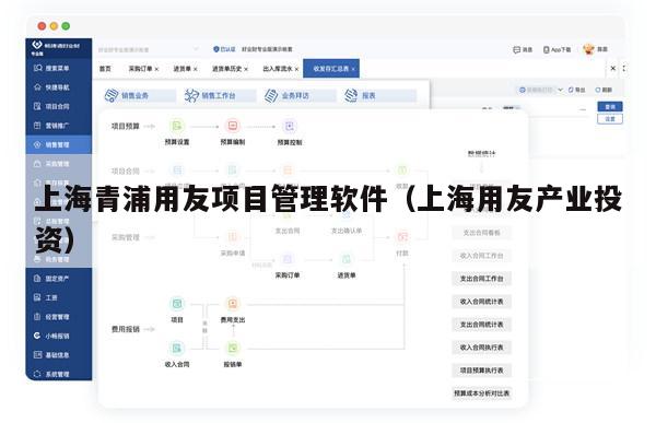 上海青浦用友项目管理软件（上海用友产业投资）