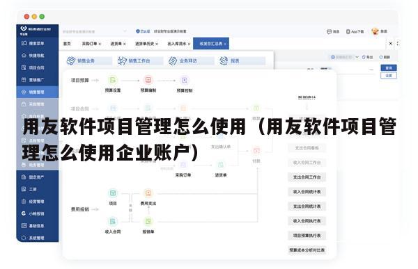 用友软件项目管理怎么使用（用友软件项目管理怎么使用企业账户）