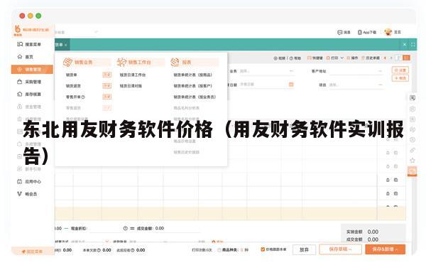 东北用友财务软件价格（用友财务软件实训报告）