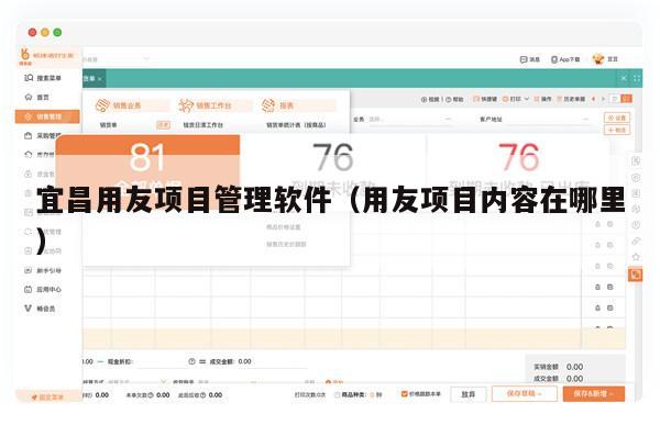 宜昌用友项目管理软件（用友项目内容在哪里）