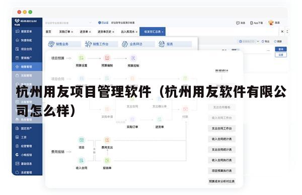 杭州用友项目管理软件（杭州用友软件有限公司怎么样）