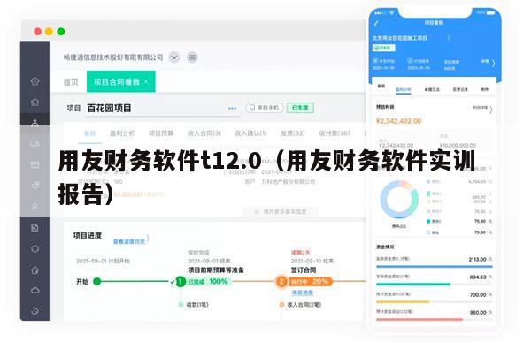 用友财务软件t12.0（用友财务软件实训报告）