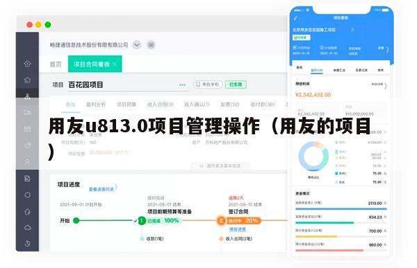 用友u813.0项目管理操作（用友的项目）