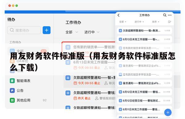 用友财务软件标准版（用友财务软件标准版怎么下载）