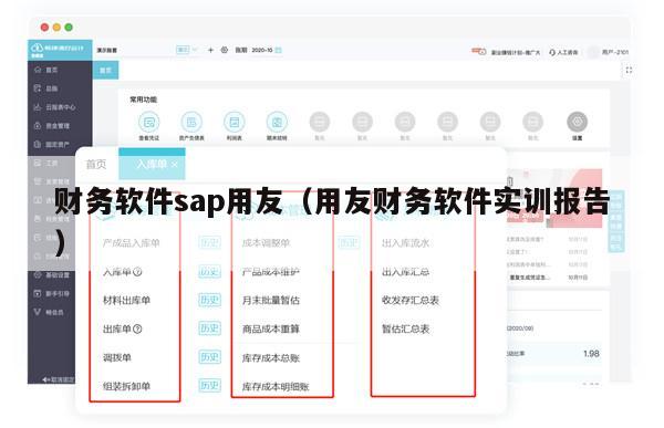 财务软件sap用友（用友财务软件实训报告）