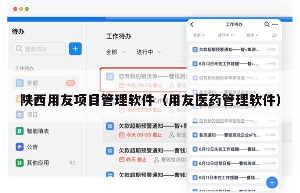 陕西用友项目管理软件（用友医药管理软件）