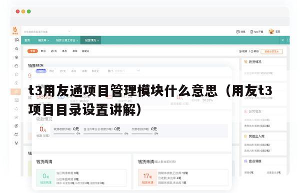 t3用友通项目管理模块什么意思（用友t3项目目录设置讲解）