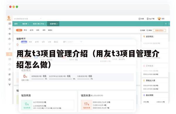 用友t3项目管理介绍（用友t3项目管理介绍怎么做）