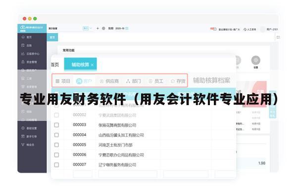 专业用友财务软件（用友会计软件专业应用）