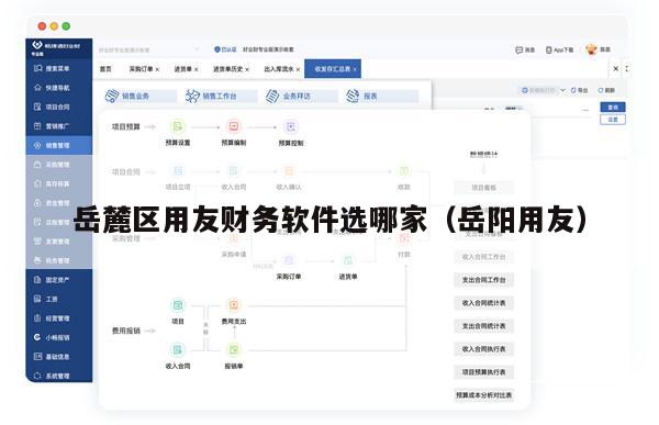 岳麓区用友财务软件选哪家（岳阳用友）