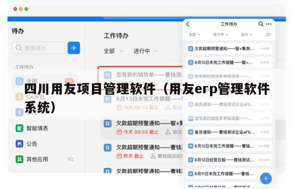 四川用友项目管理软件（用友erp管理软件系统）