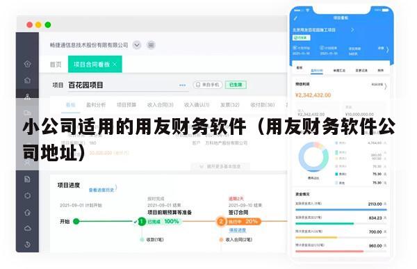 小公司适用的用友财务软件（用友财务软件公司地址）