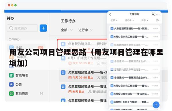用友公司项目管理思路（用友项目管理在哪里增加）