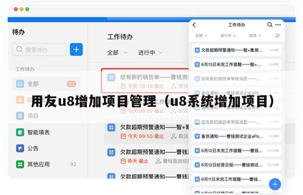 用友u8增加项目管理（u8系统增加项目）