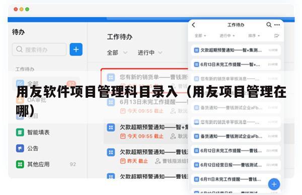 用友软件项目管理科目录入（用友项目管理在哪）