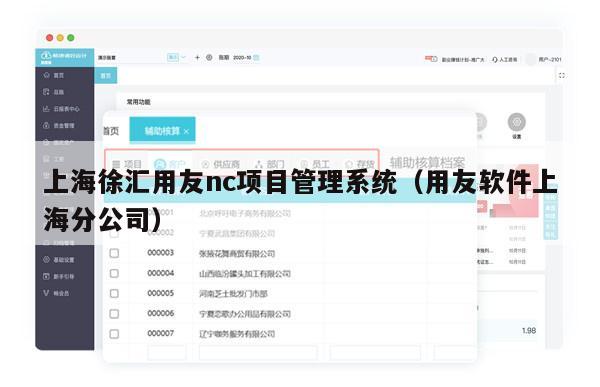 上海徐汇用友nc项目管理系统（用友软件上海分公司）