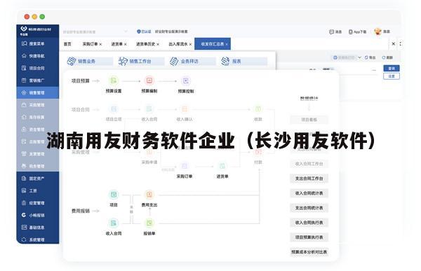 湖南用友财务软件企业（长沙用友软件）
