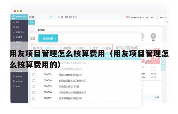 用友项目管理怎么核算费用（用友项目管理怎么核算费用的）