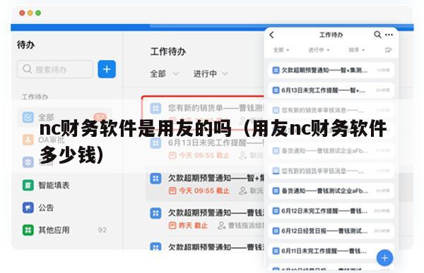 nc财务软件是用友的吗（用友nc财务软件多少钱）