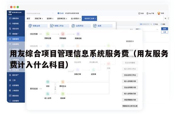 用友综合项目管理信息系统服务费（用友服务费计入什么科目）