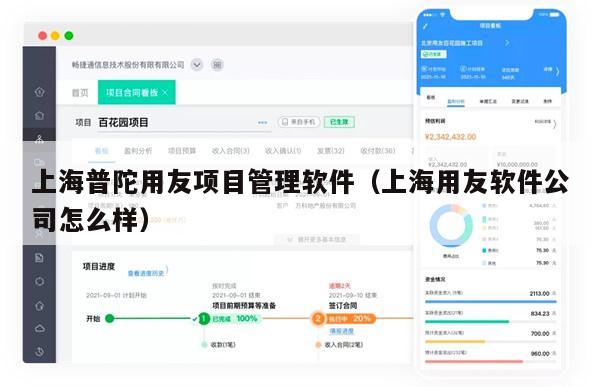 上海普陀用友项目管理软件（上海用友软件公司怎么样）