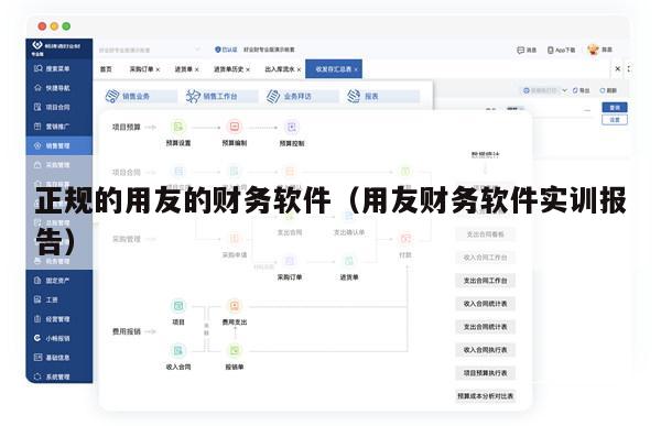 正规的用友的财务软件（用友财务软件实训报告）
