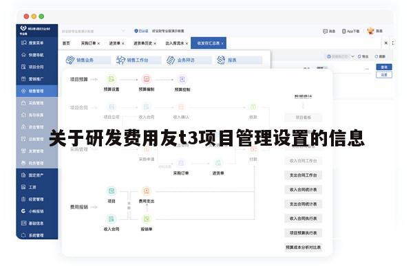 关于研发费用友t3项目管理设置的信息