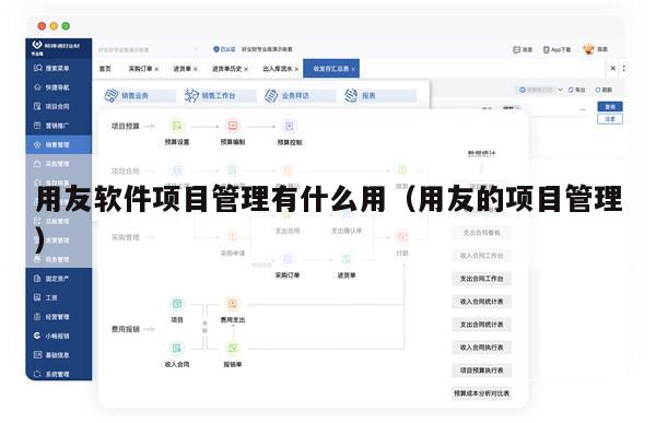 用友软件项目管理有什么用（用友的项目管理）