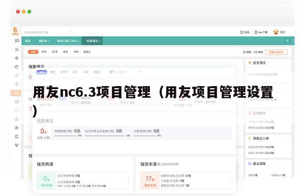 用友nc6.3项目管理（用友项目管理设置）