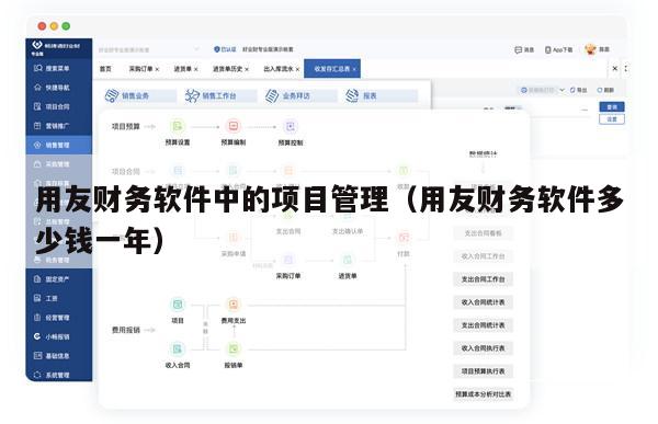 用友财务软件中的项目管理（用友财务软件多少钱一年）