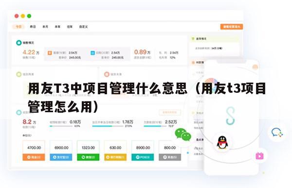 用友T3中项目管理什么意思（用友t3项目管理怎么用）