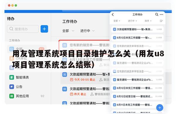 用友管理系统项目目录维护怎么关（用友u8项目管理系统怎么结账）