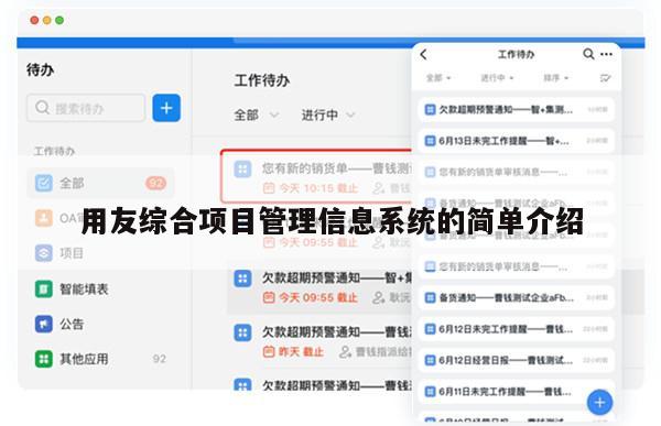 用友综合项目管理信息系统的简单介绍