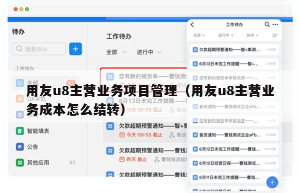 用友u8主营业务项目管理（用友u8主营业务成本怎么结转）