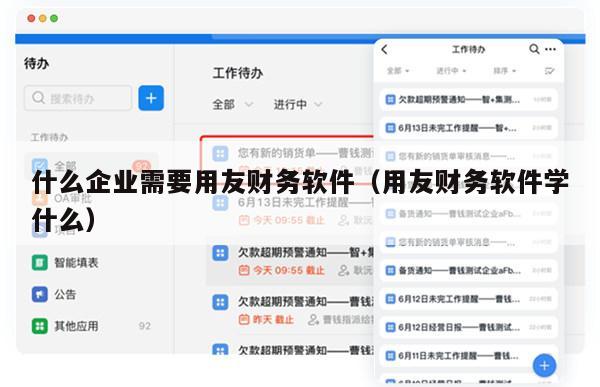 什么企业需要用友财务软件（用友财务软件学什么）