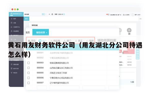 黄石用友财务软件公司（用友湖北分公司待遇怎么样）