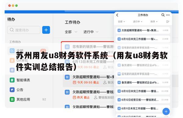 苏州用友u8财务软件系统（用友u8财务软件实训总结报告）