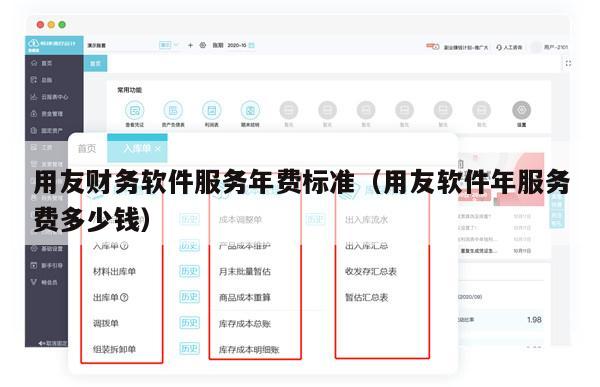 用友财务软件服务年费标准（用友软件年服务费多少钱）
