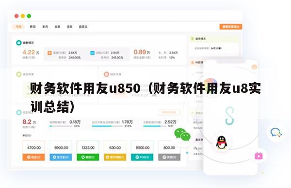 财务软件用友u850（财务软件用友u8实训总结）