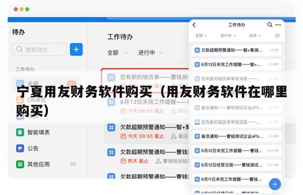 宁夏用友财务软件购买（用友财务软件在哪里购买）