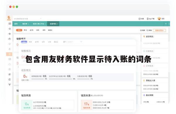 包含用友财务软件显示待入账的词条