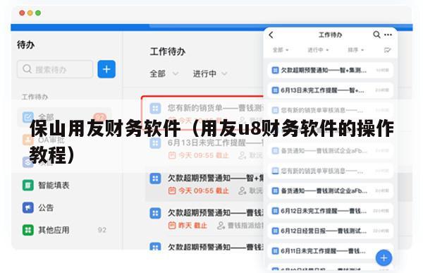 保山用友财务软件（用友u8财务软件的操作教程）