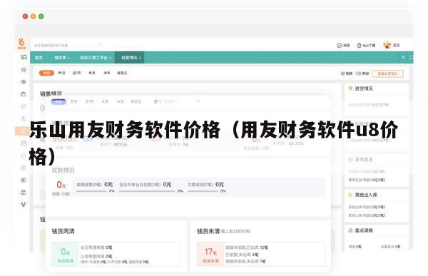 乐山用友财务软件价格（用友财务软件u8价格）
